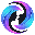 Video Swap