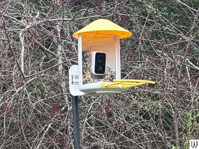 入门款产品Birdfy Lite实拍图