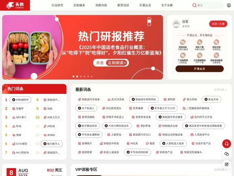 头豹研究院网站截图