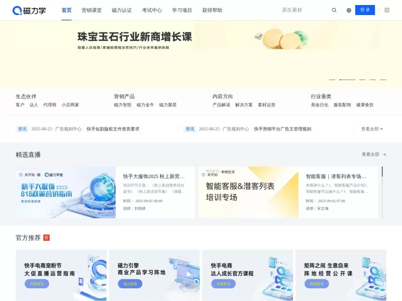 磁力学网站截图