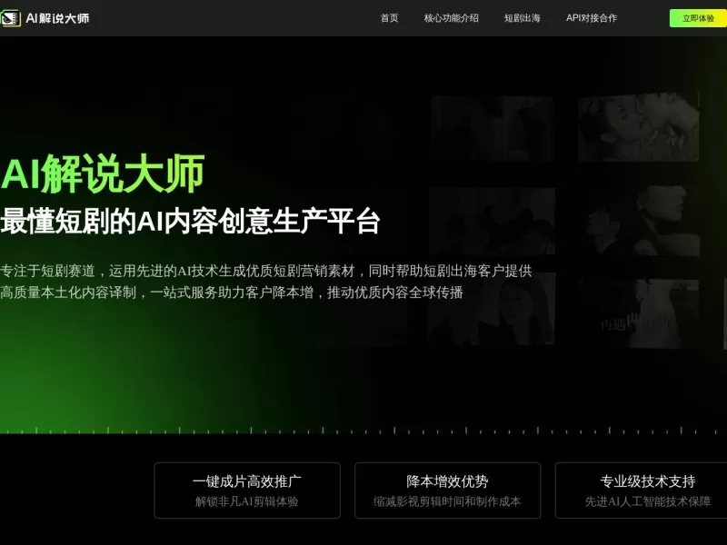 AI解说大师网站截图