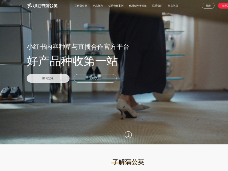 小红书蒲公英 网站截图