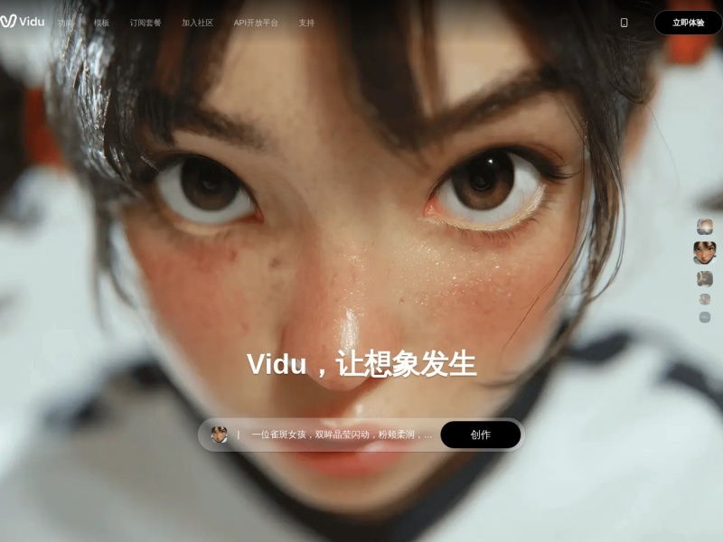 Vidu AI 网站截图