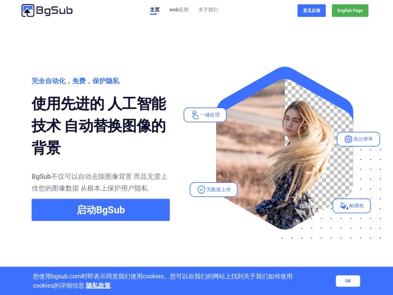 BgSub 网站截图