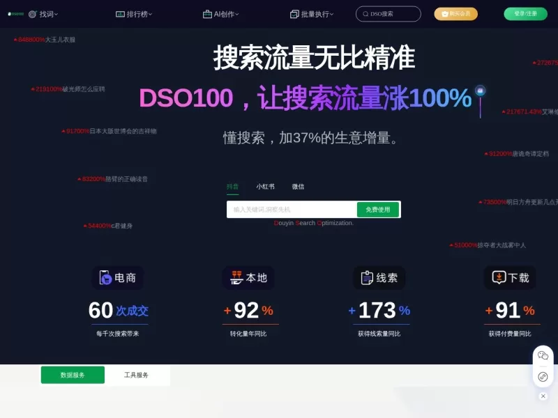 DSO100网站截图