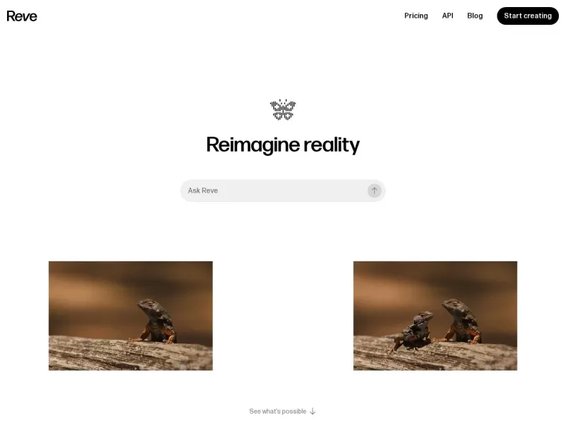 Reve Image网站截图