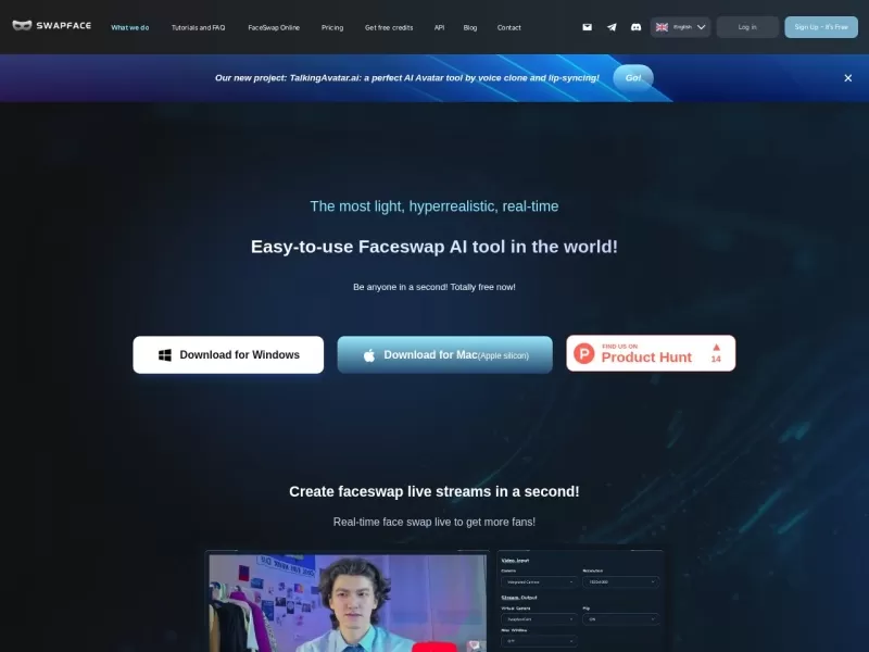 Swapface网站截图