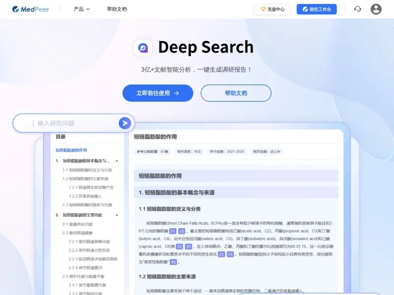 Deep Search网站截图