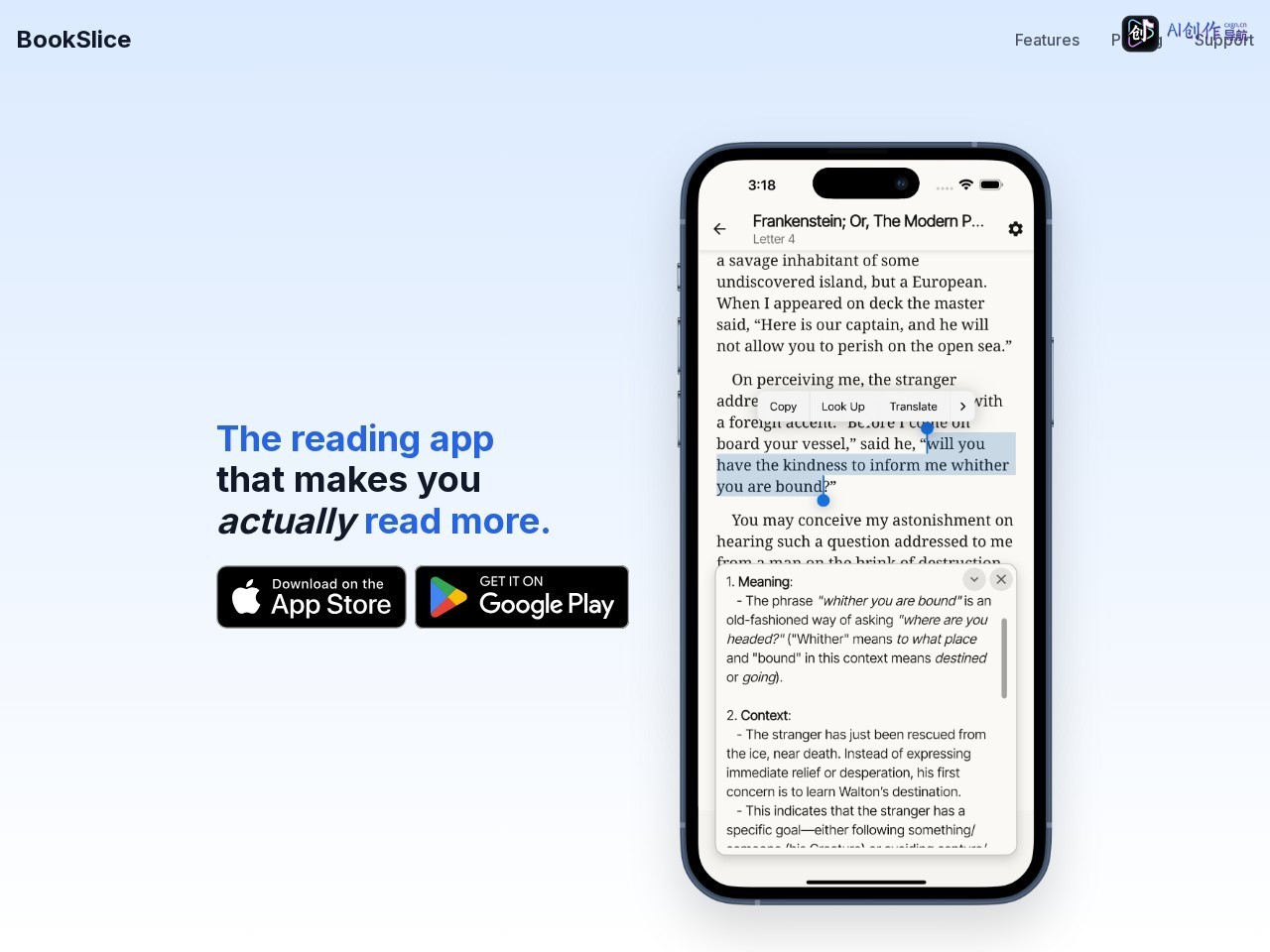 BookSlice 网站截图
