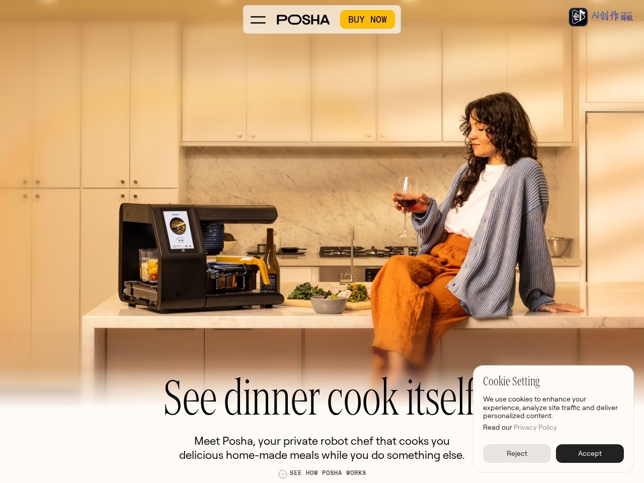 Posha 网站截图