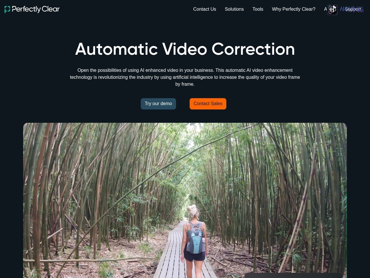 Perfectly Clear Video 网站截图