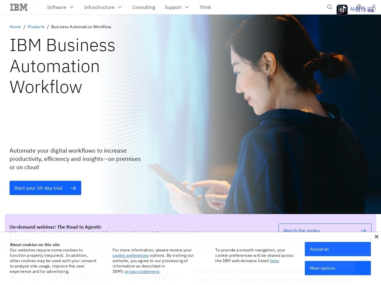 IBM Business Automation Workflow 网站截图