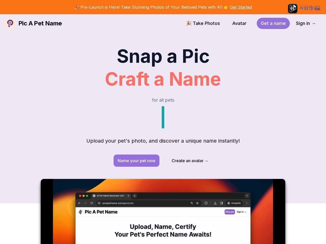 Pic A Pet Name 网站截图