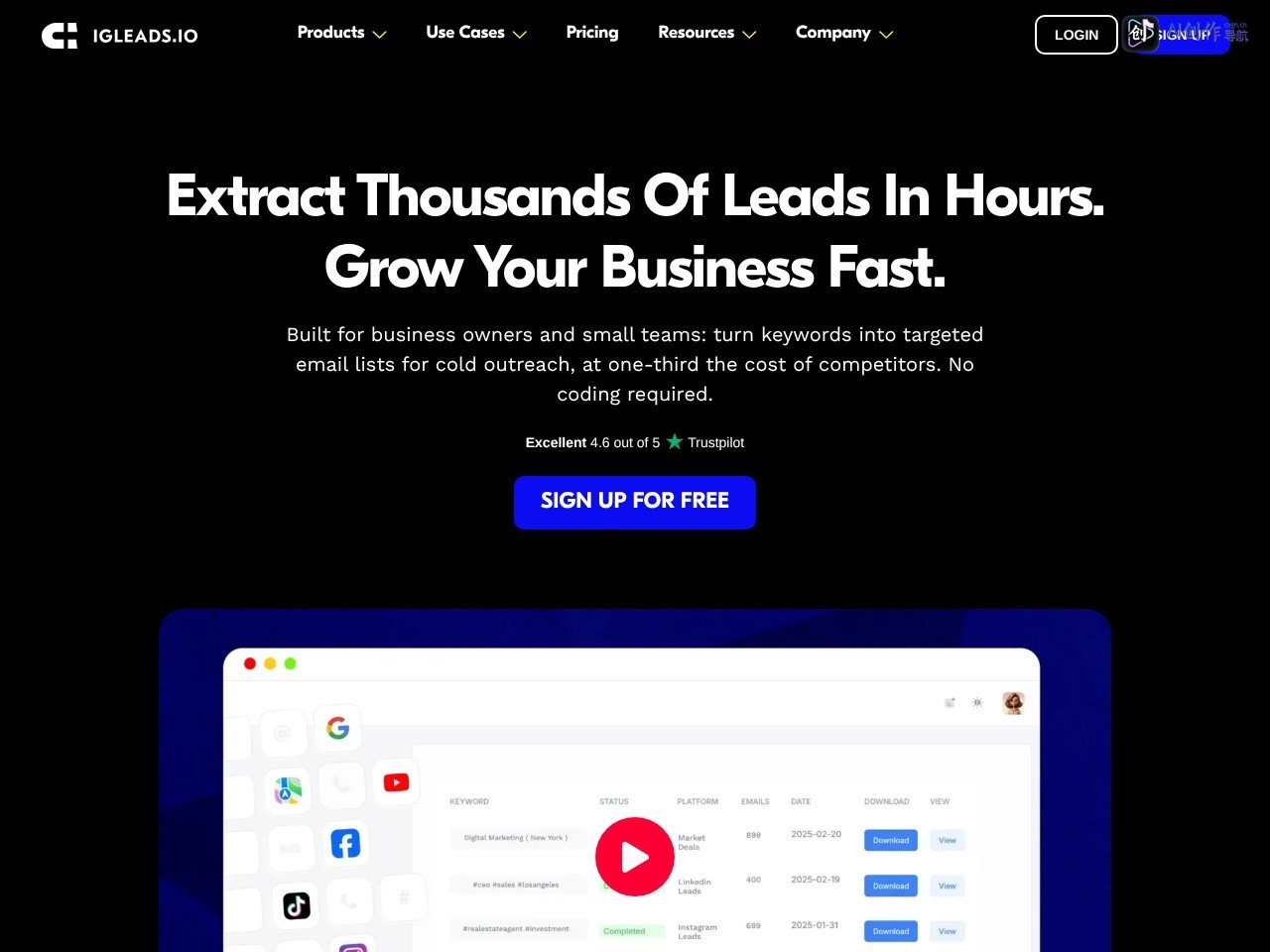 IGLeads 网站截图
