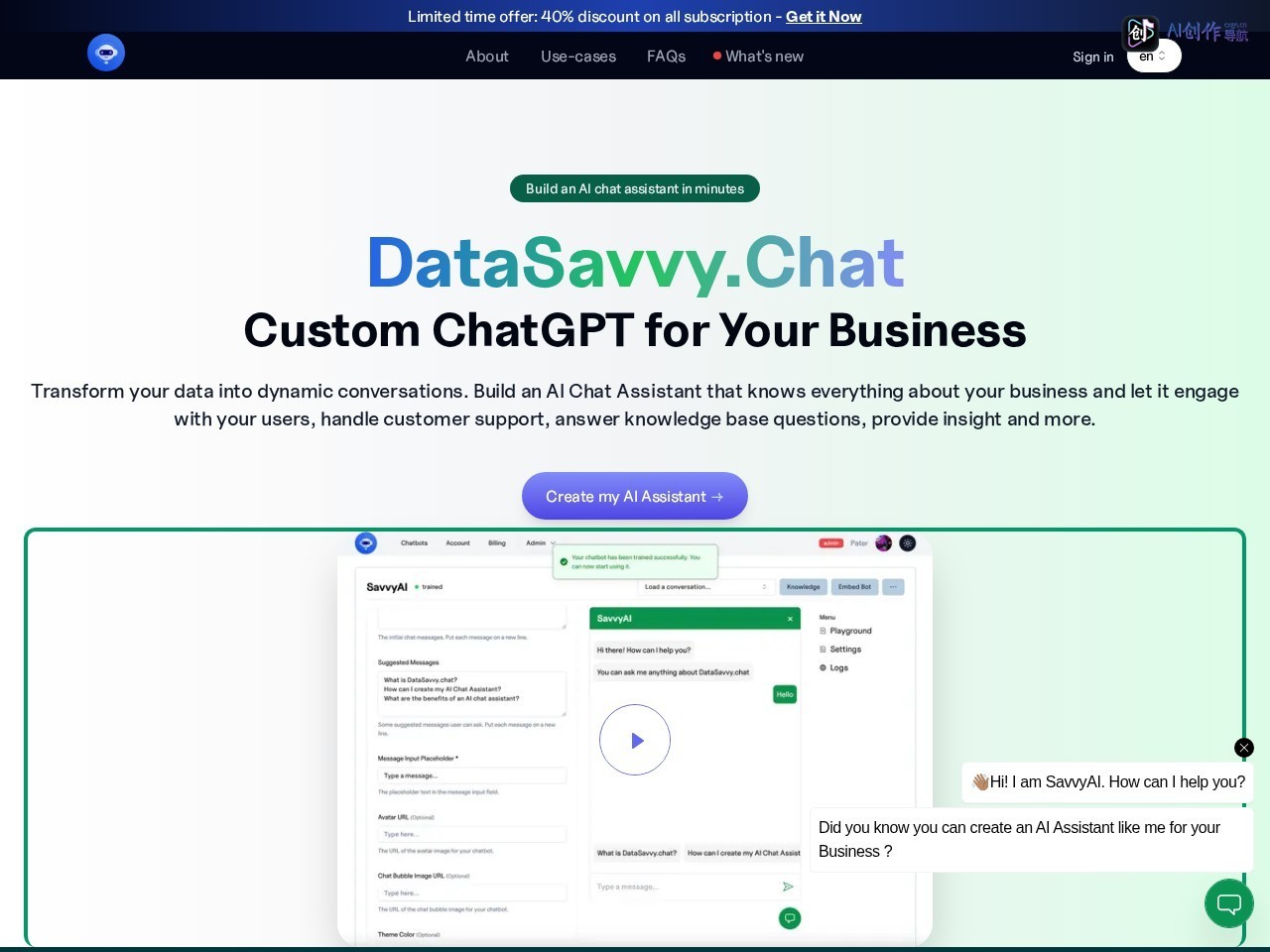 DataSavvy.Chat 网站截图