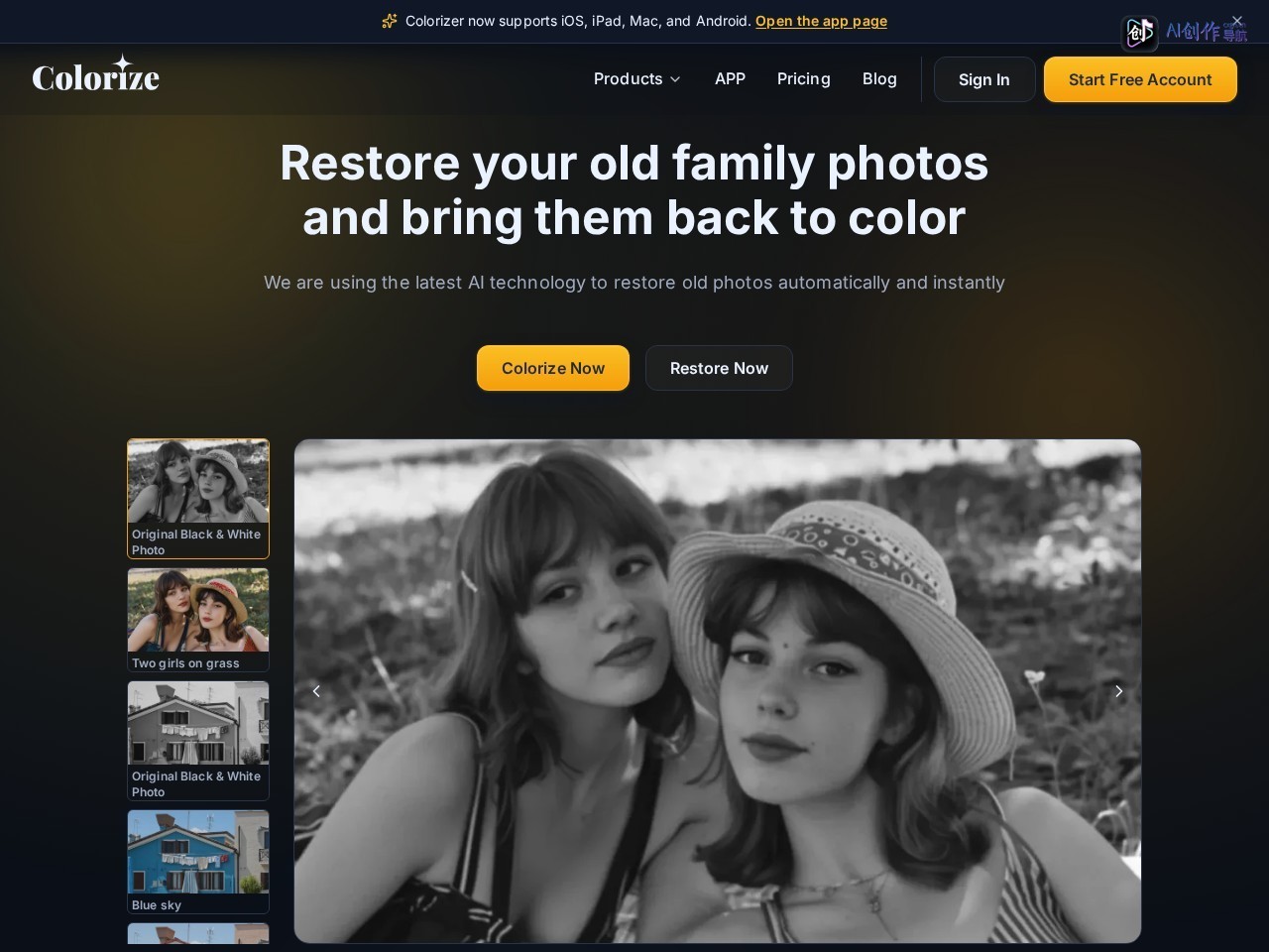 ImageColorizer 网站截图