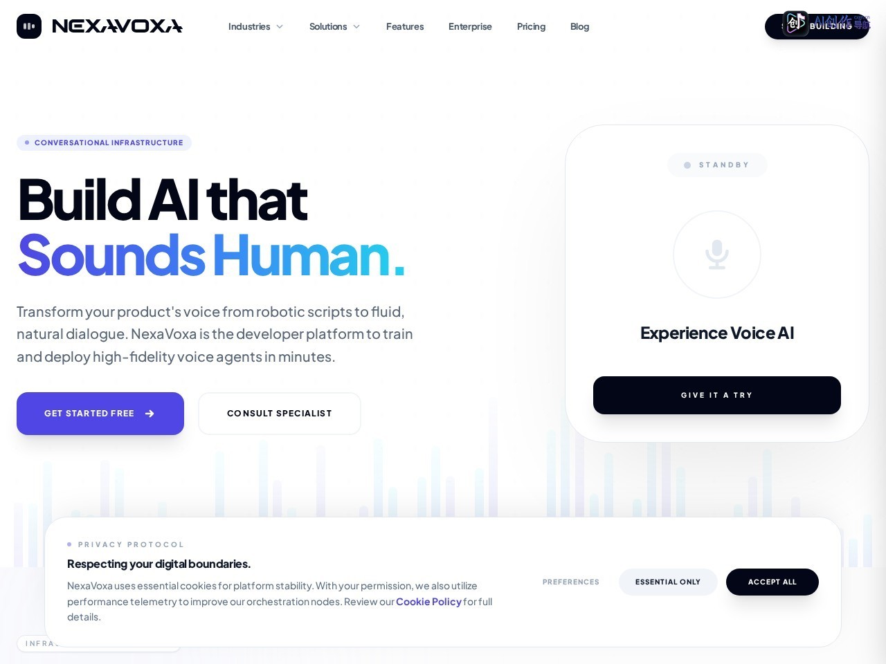 NexaVoxa 网站截图