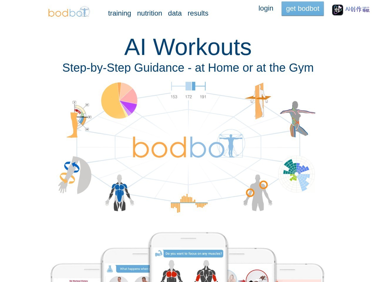 BodBot 网站截图