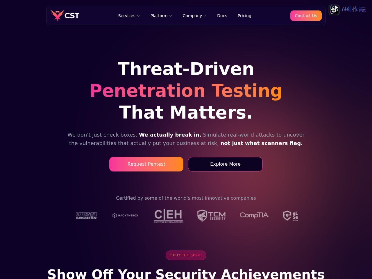 CyberSanctus 网站截图