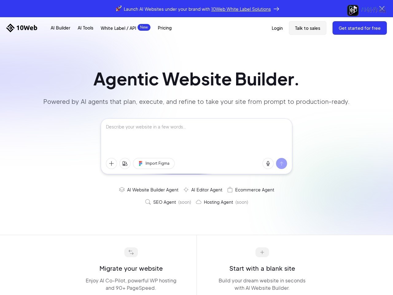 10Web 网站截图