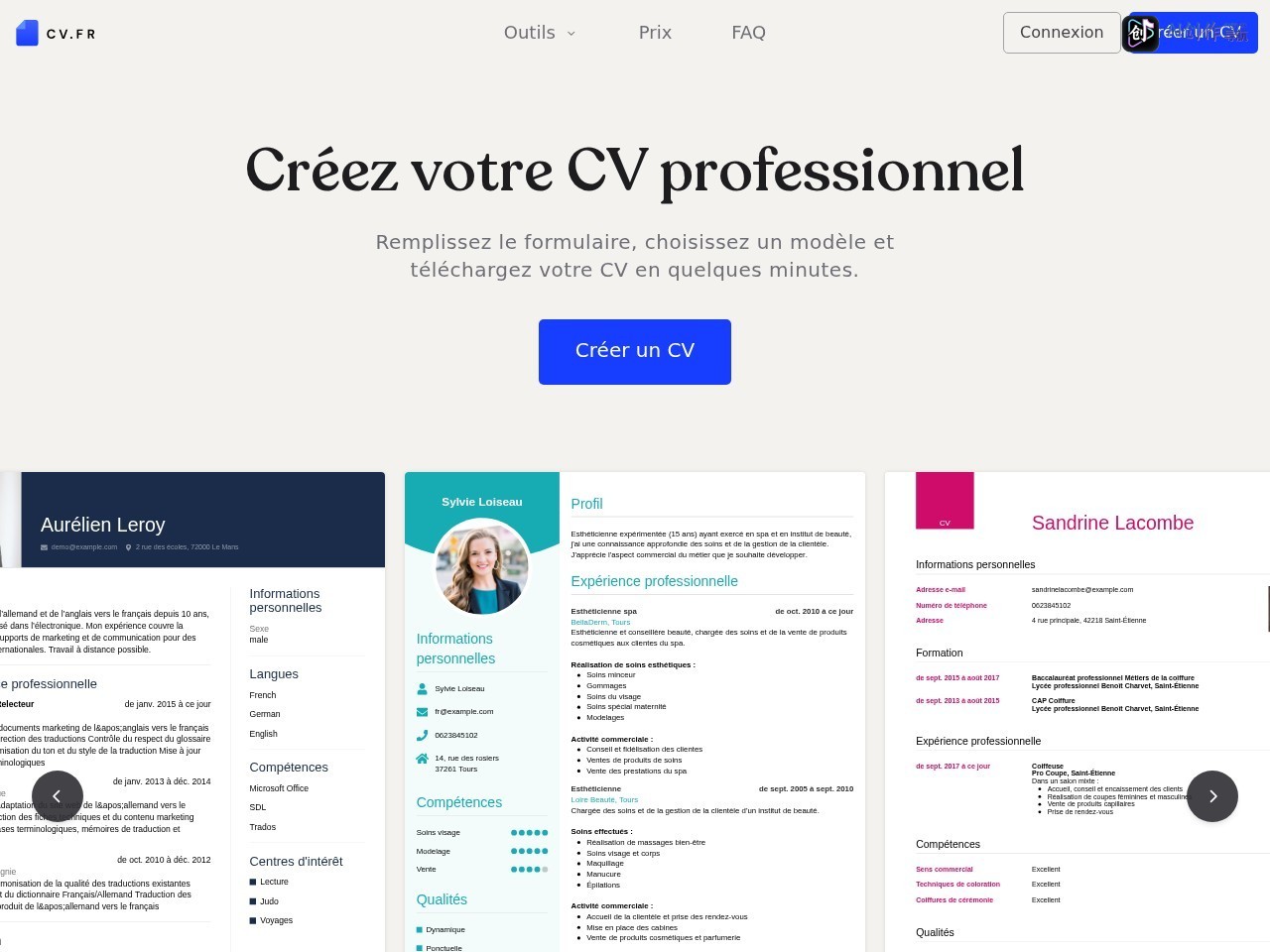 CV.fr 网站截图