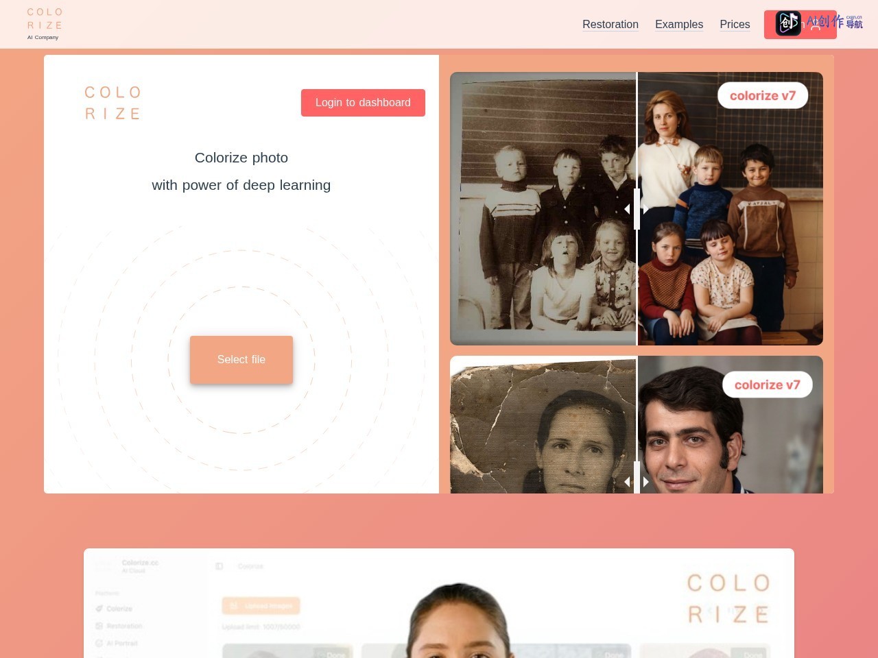 Colorize.cc 网站截图