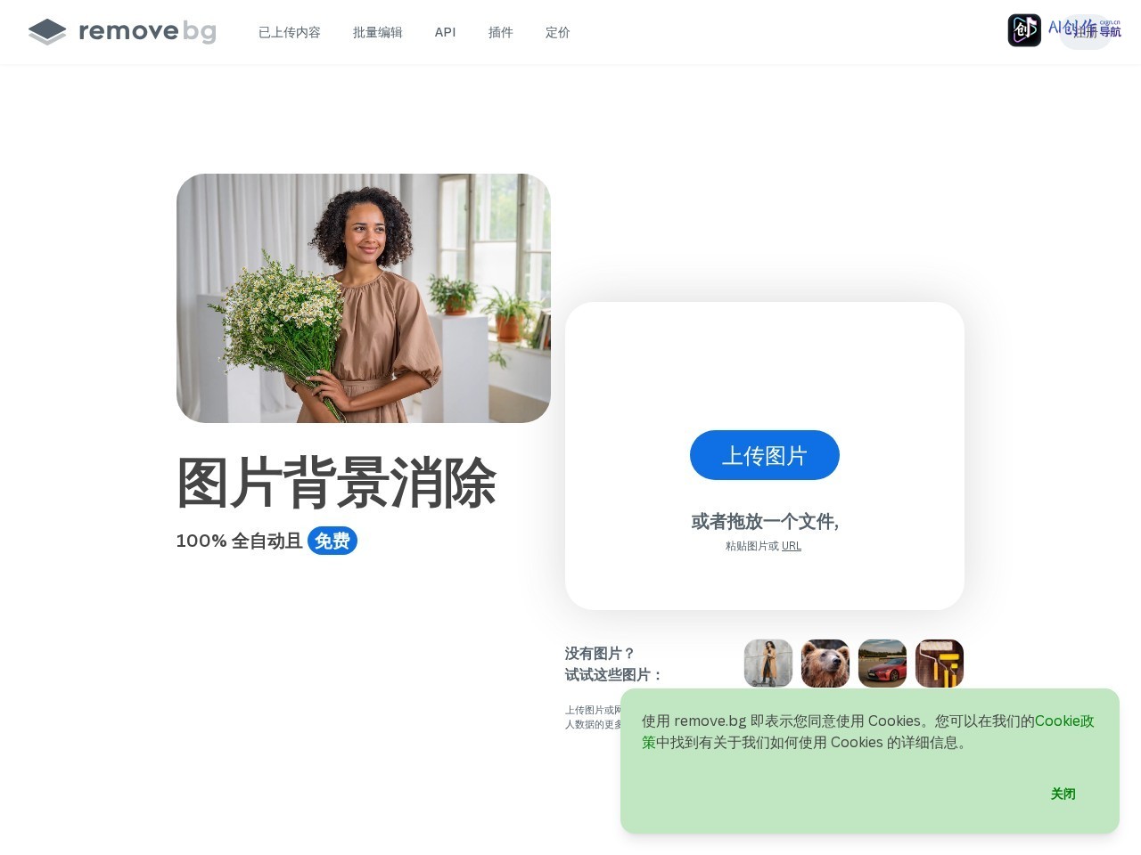 Remove.bg 网站截图