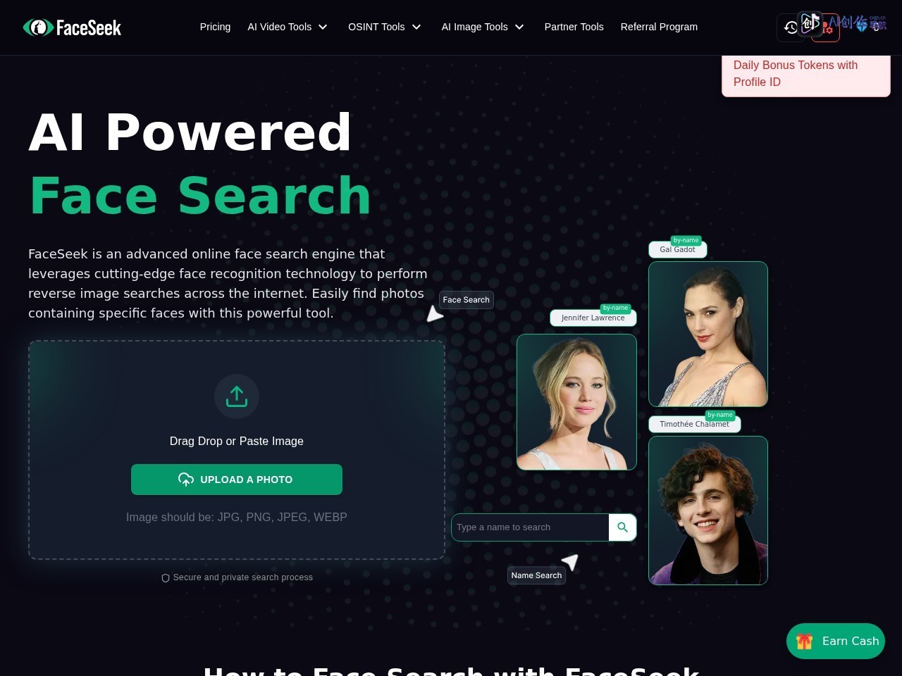 FaceSeek 网站截图