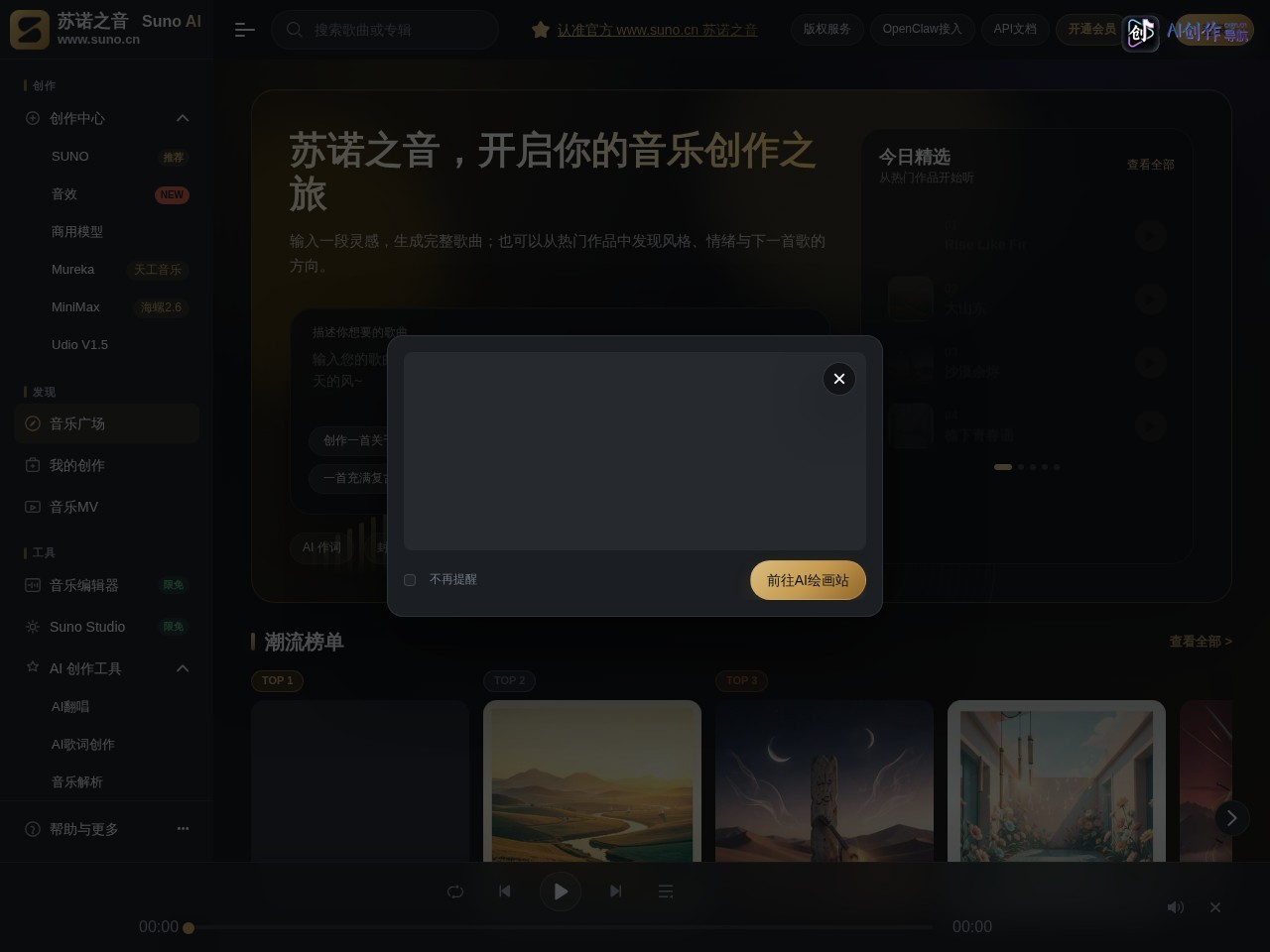 苏诺之音 网站截图