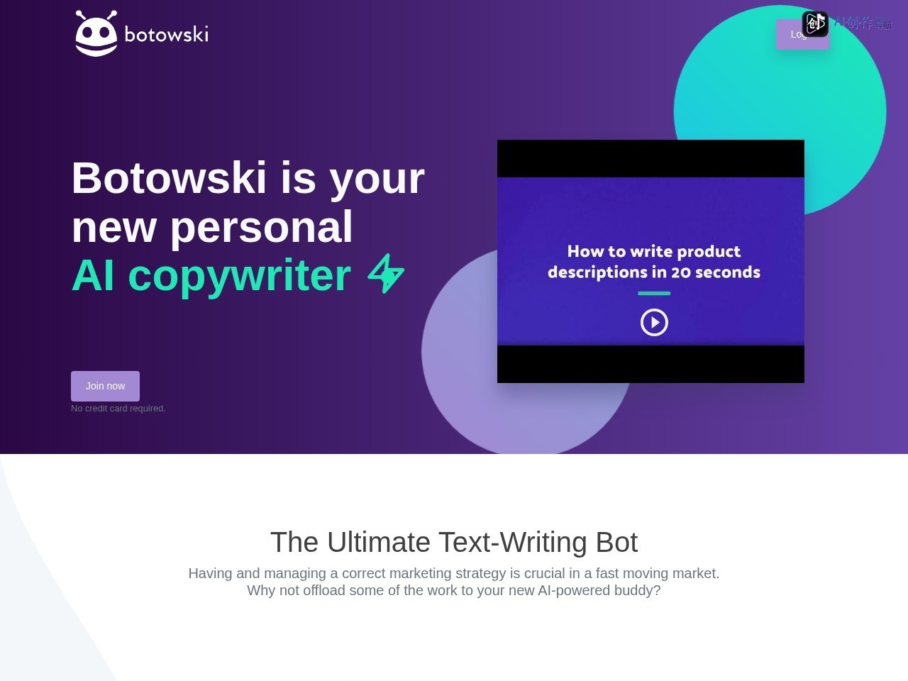 Botowski 网站截图