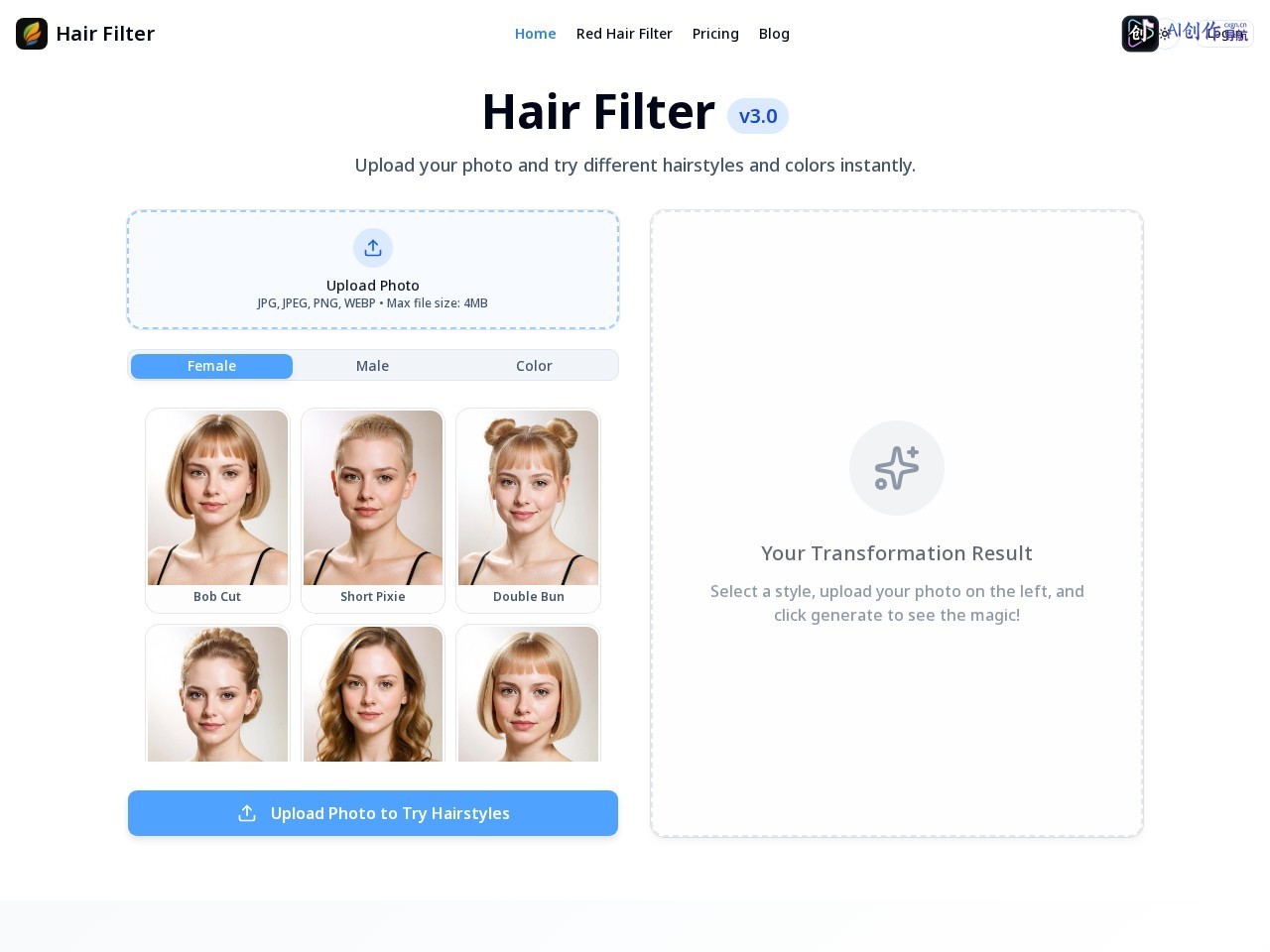 Hair Filter 网站截图