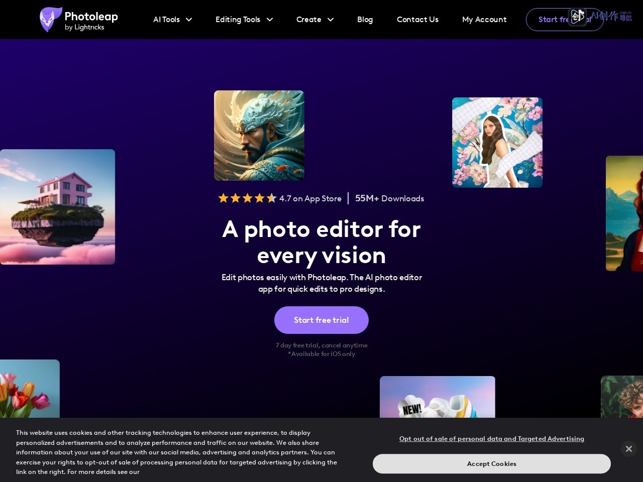 Photoleap 网站截图