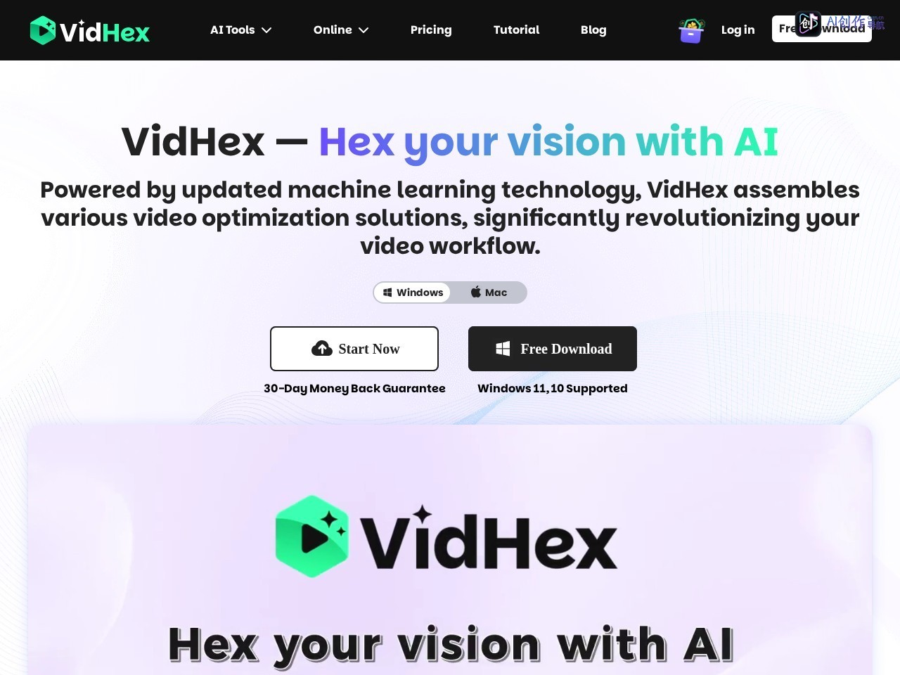 VidHex 网站截图