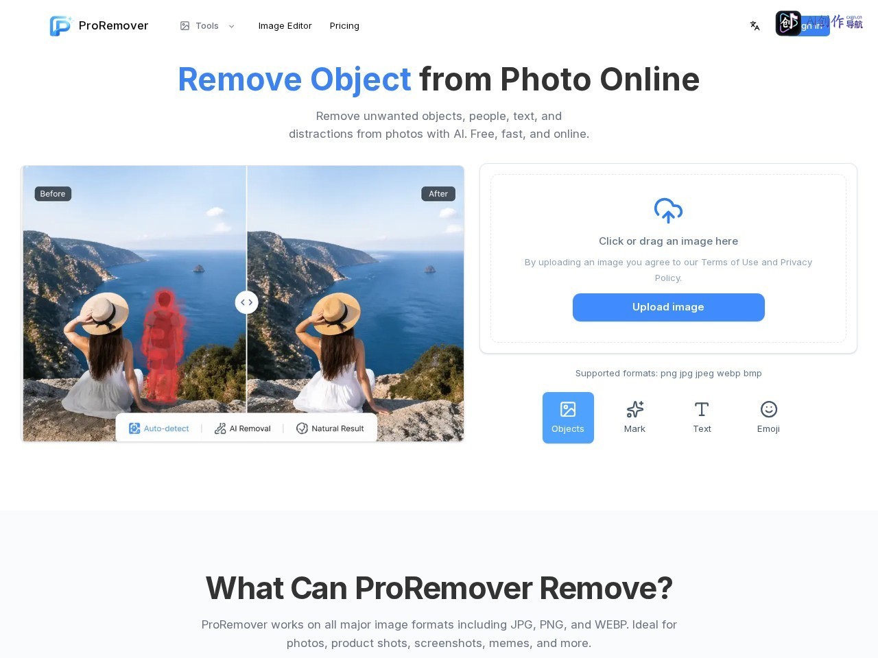 ProRemover 网站截图