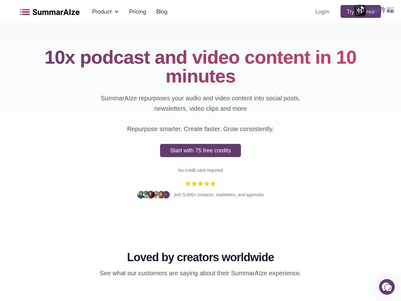 SummarAIze 网站截图