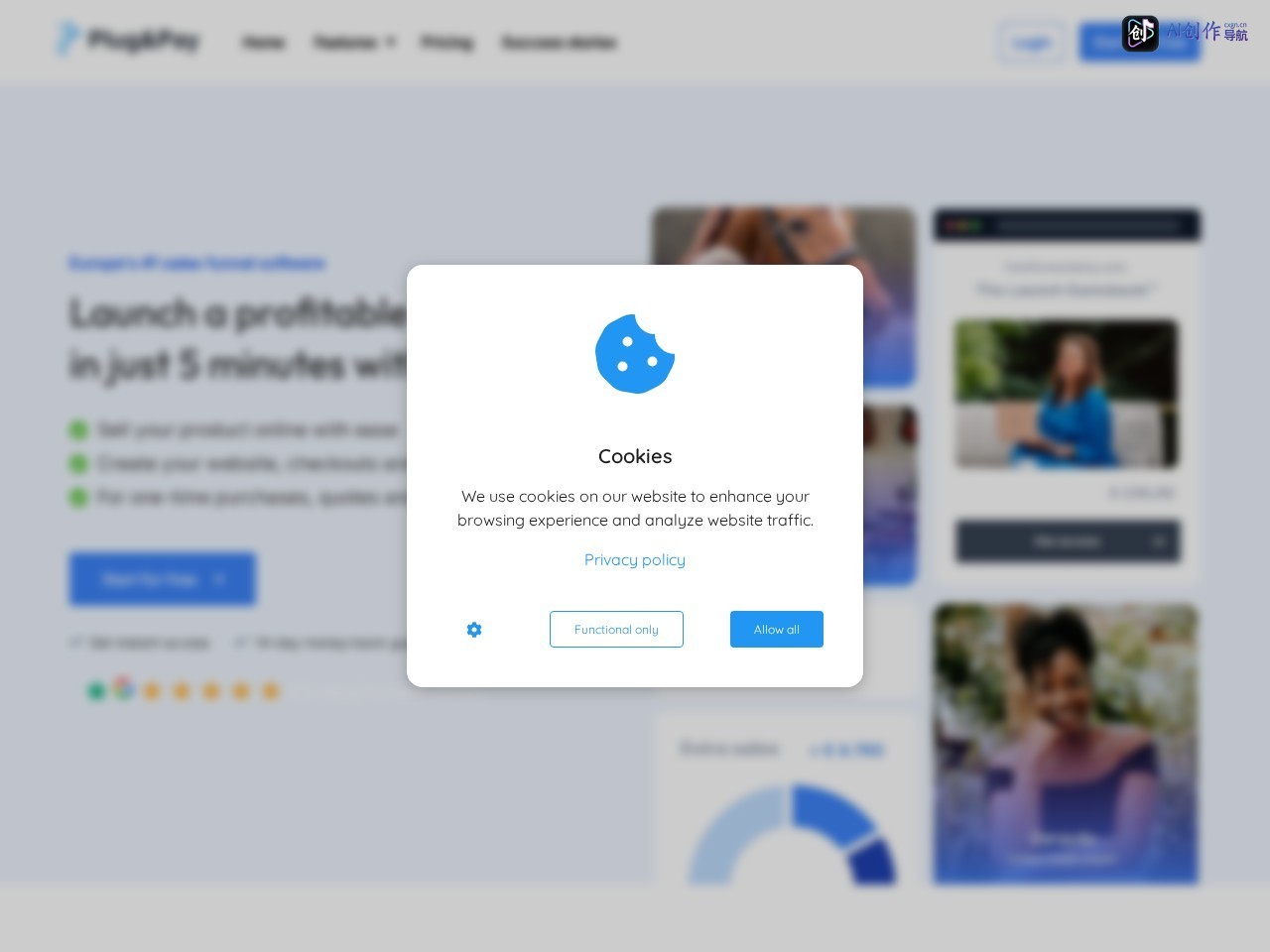 Plug&amp;Pay® 网站截图