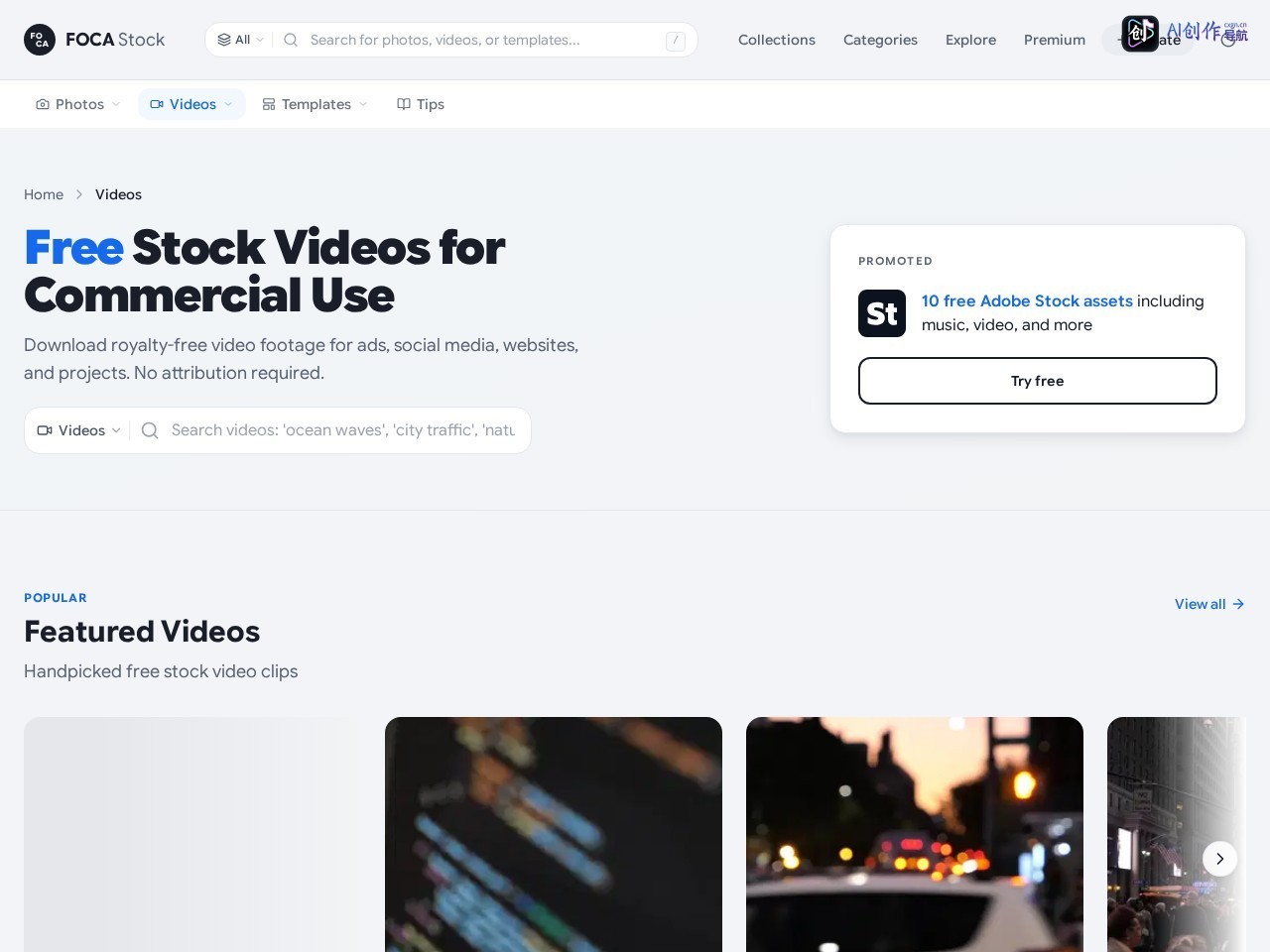 FOCA Stock 网站截图