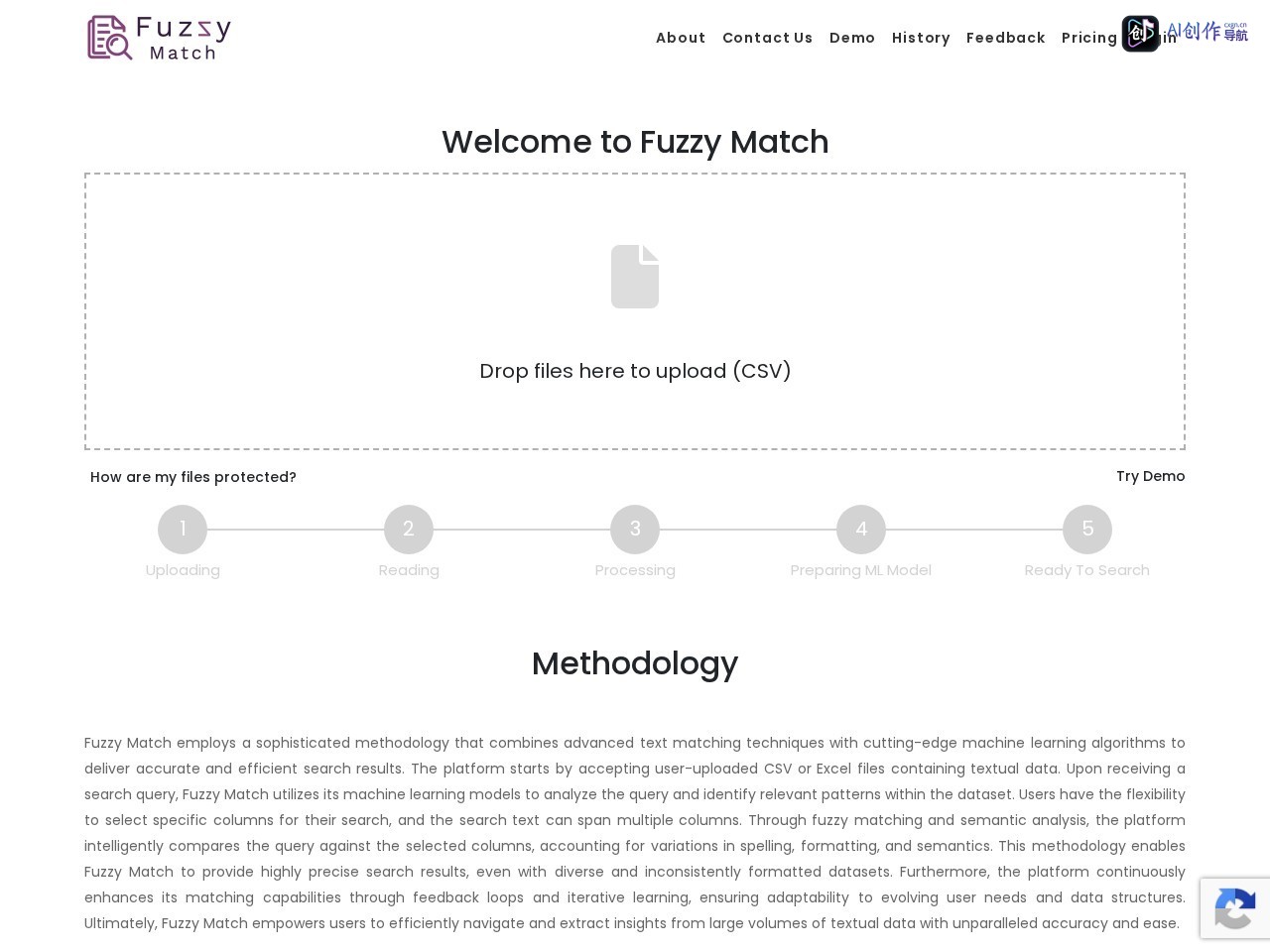 Fuzzy Match 网站截图