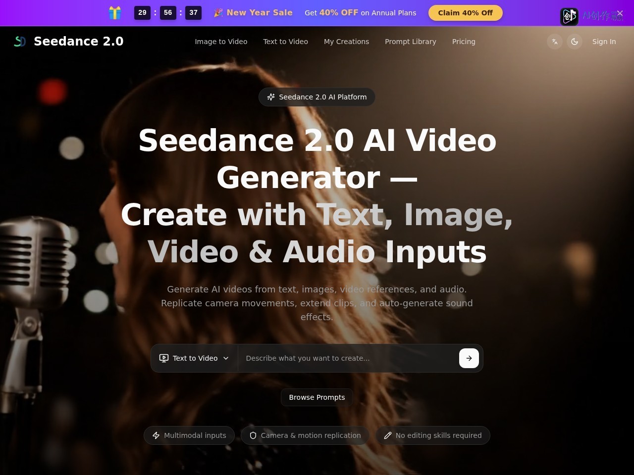 Seedance 2.0 网站截图