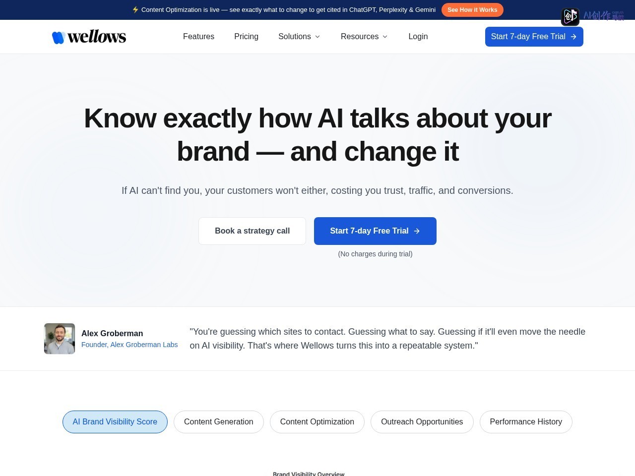 Wellows | Kiva 网站截图
