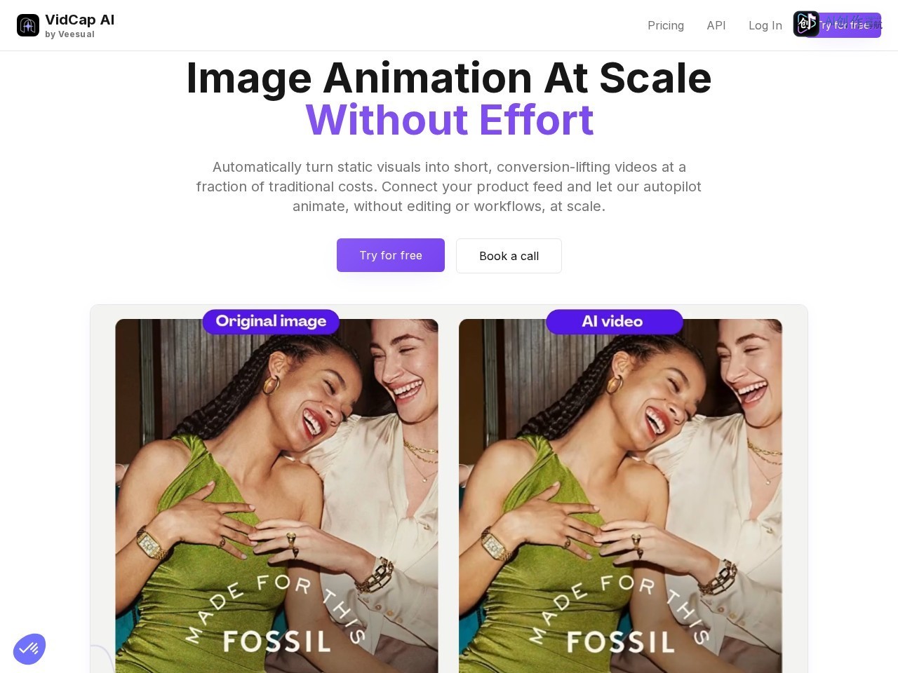 VidCap AI 网站截图