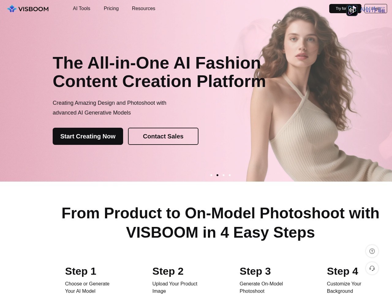 Visboom 网站截图