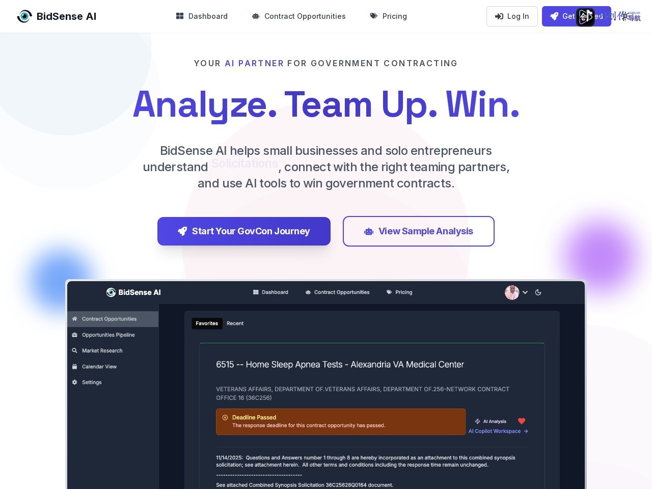 BidSense AI 网站截图
