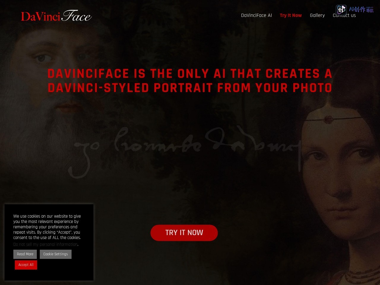 DaVinciFace 网站截图