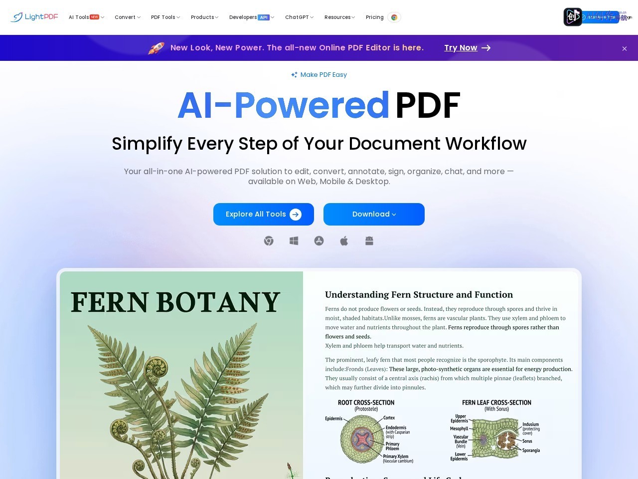 LightPDF 网站截图