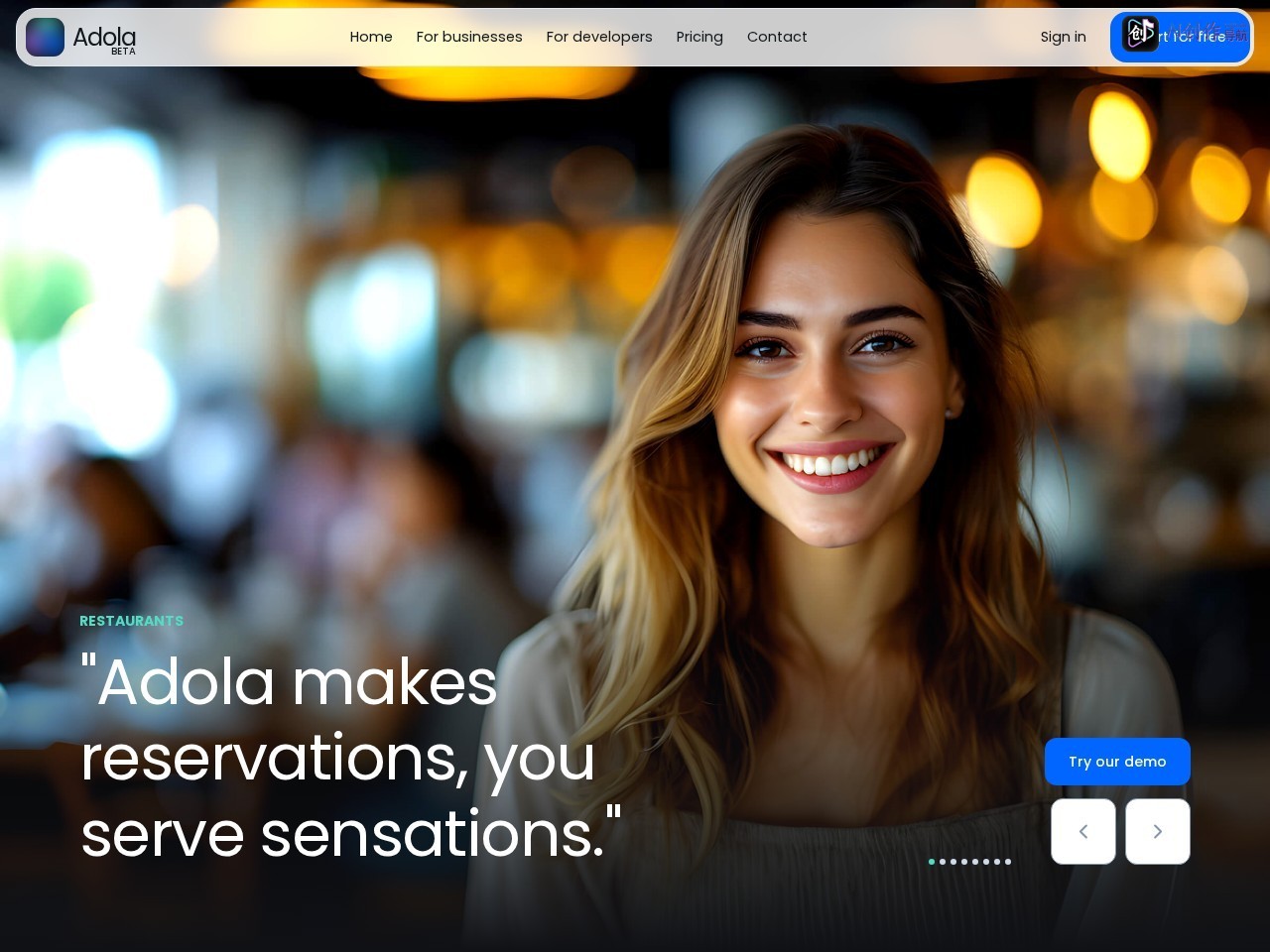 Adola AI 网站截图