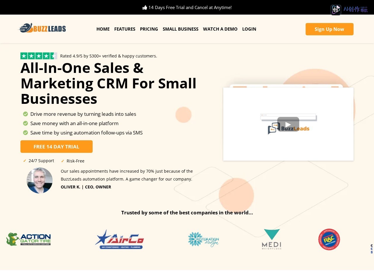 BuzzLeads 网站截图
