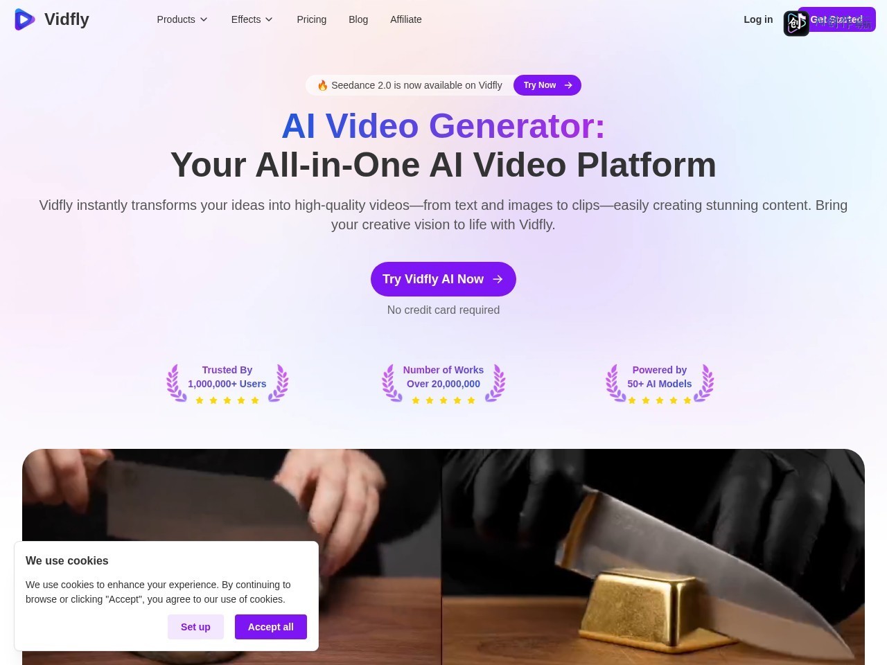 Vidfly 网站截图