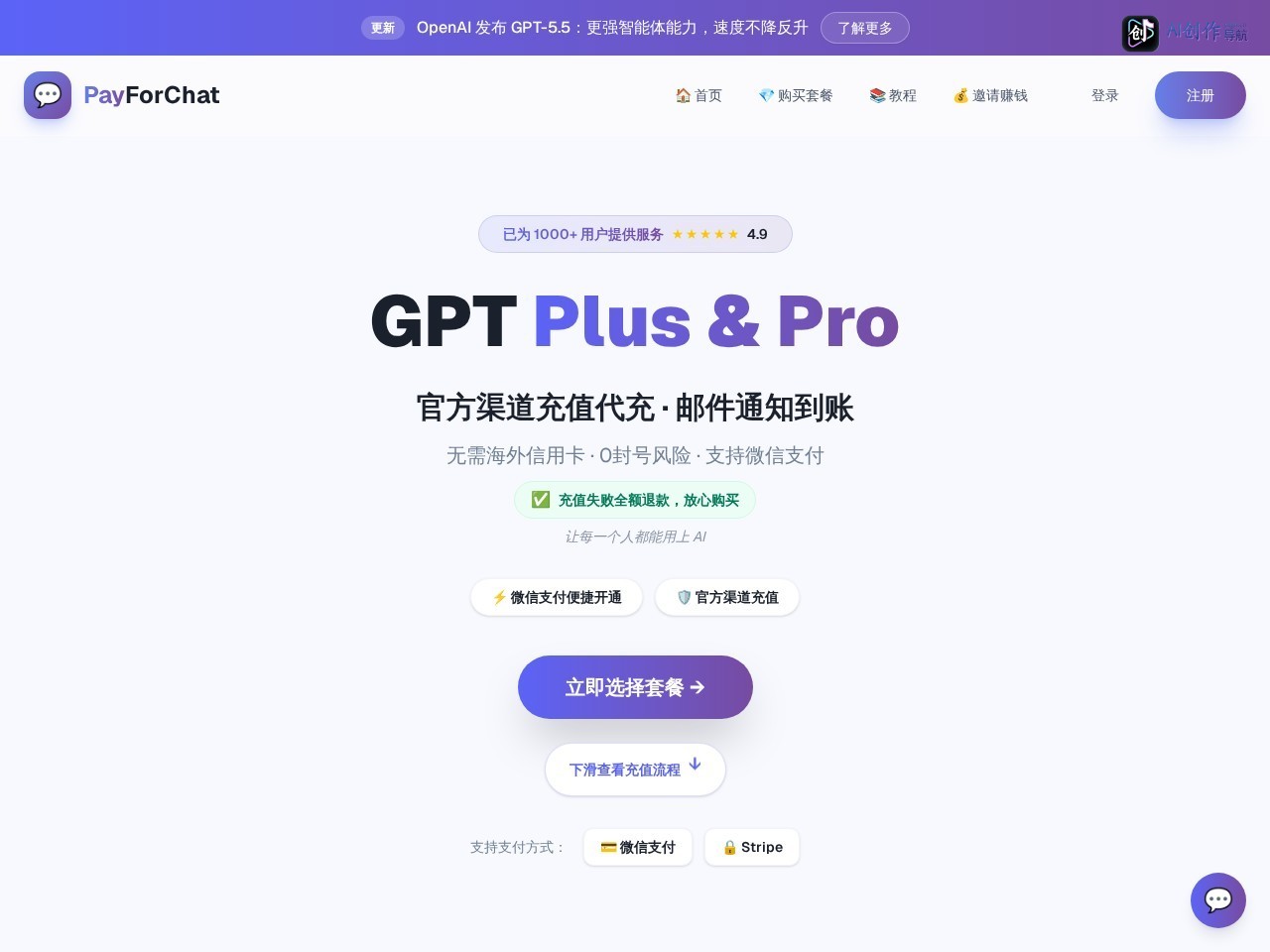 PayForChat 网站截图