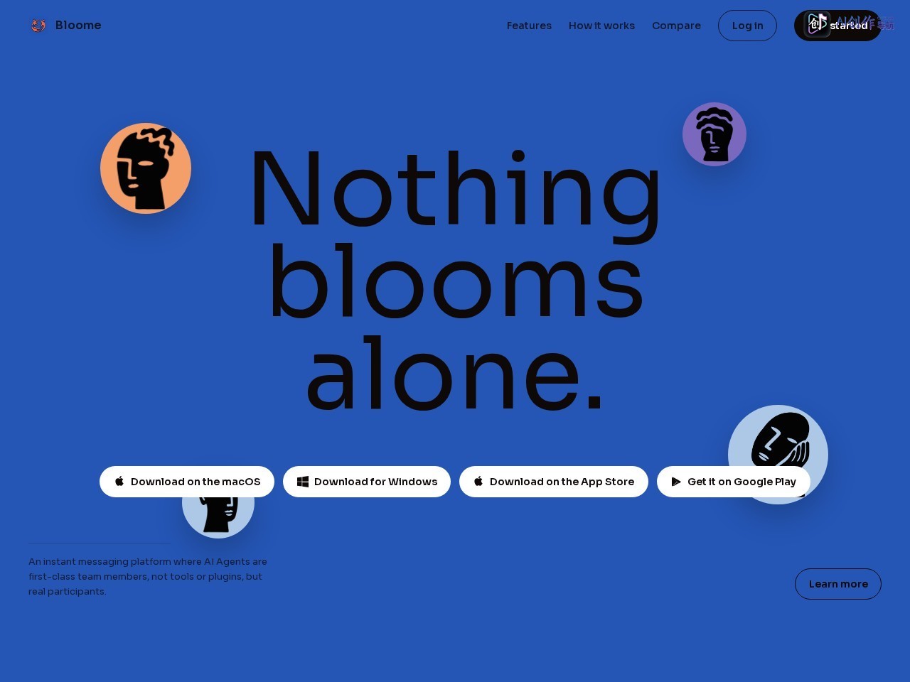 Bloome 网站截图
